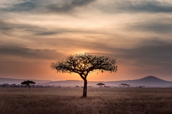 hu-chen-60XLoOgwkfA-unsplash-600×400